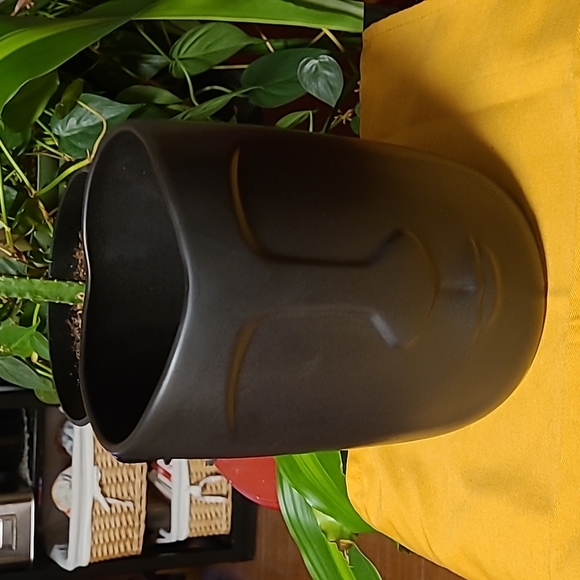 Face Vase - Picture 1 of 6